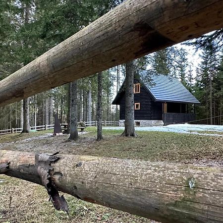 Cosy Lodge Pokljuka Goreljek Dış mekan fotoğraf