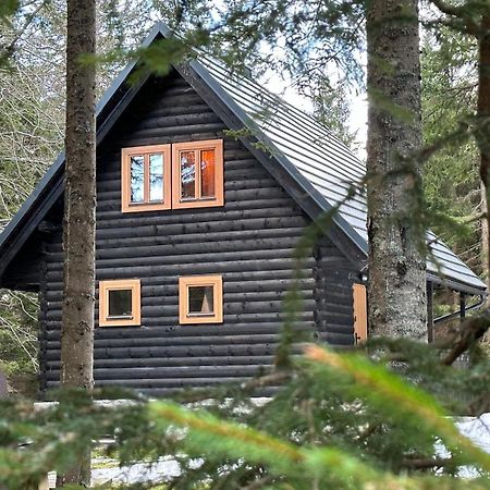 Cosy Lodge Pokljuka Goreljek Dış mekan fotoğraf