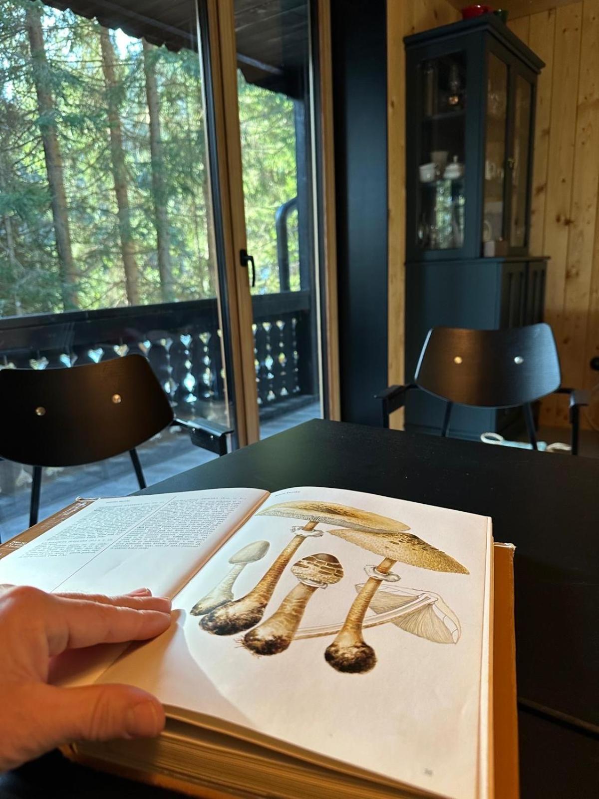Cosy Lodge Pokljuka Goreljek Dış mekan fotoğraf