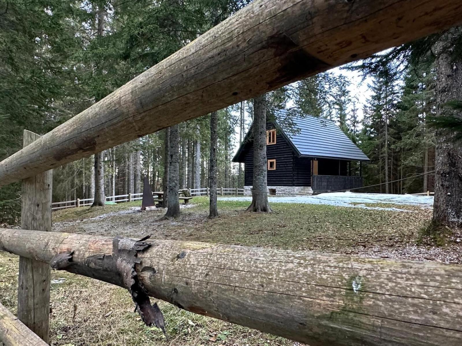 Cosy Lodge Pokljuka Goreljek Dış mekan fotoğraf