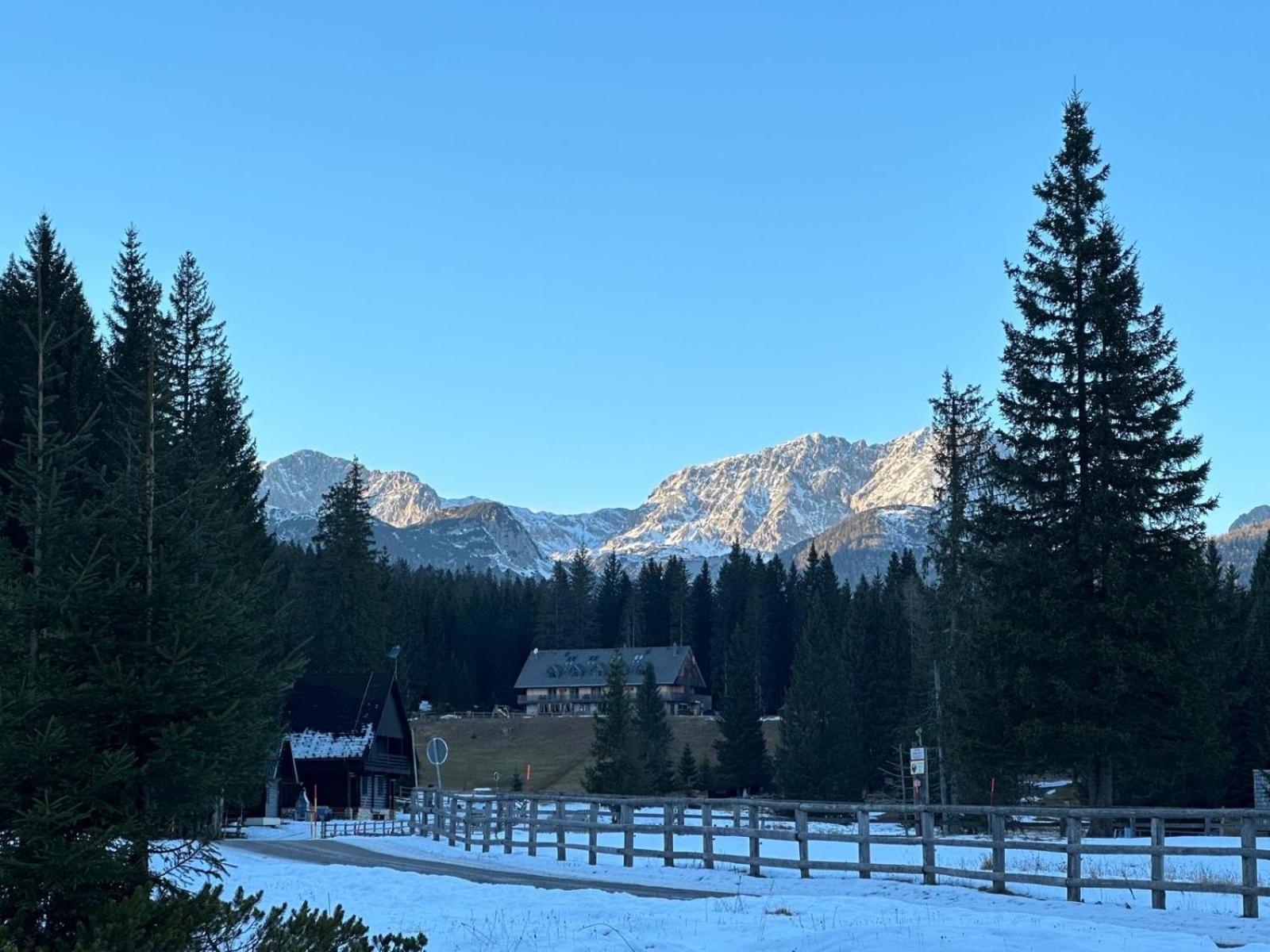 Cosy Lodge Pokljuka Goreljek Dış mekan fotoğraf