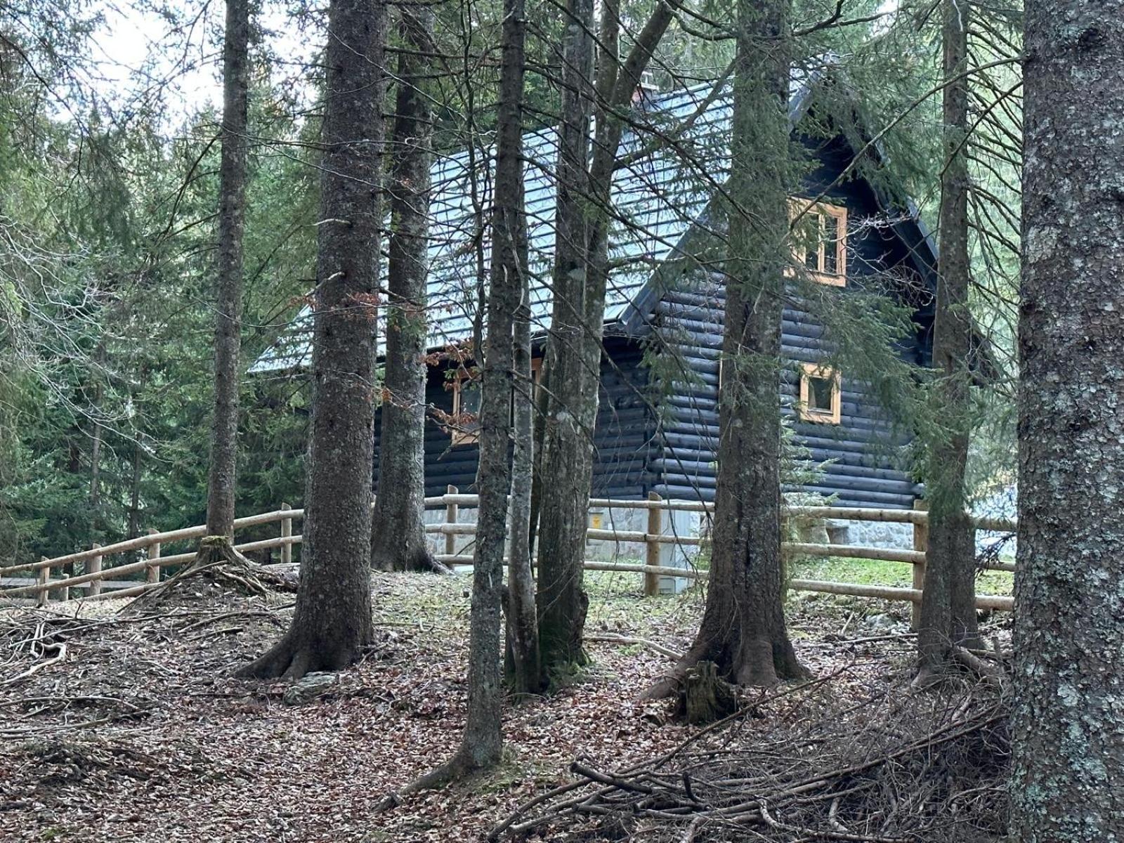 Cosy Lodge Pokljuka Goreljek Dış mekan fotoğraf