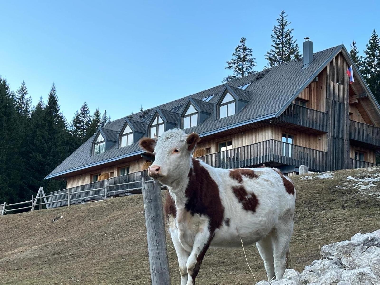 Cosy Lodge Pokljuka Goreljek Dış mekan fotoğraf