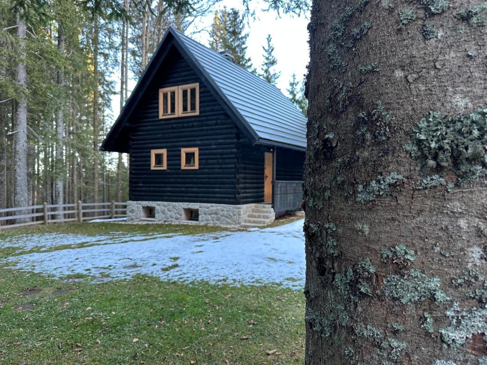 Cosy Lodge Pokljuka Goreljek Dış mekan fotoğraf