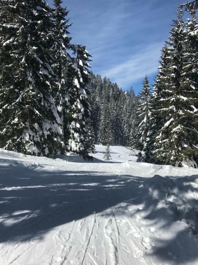 Cosy Lodge Pokljuka Goreljek Dış mekan fotoğraf